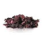 Sea Vegetables
